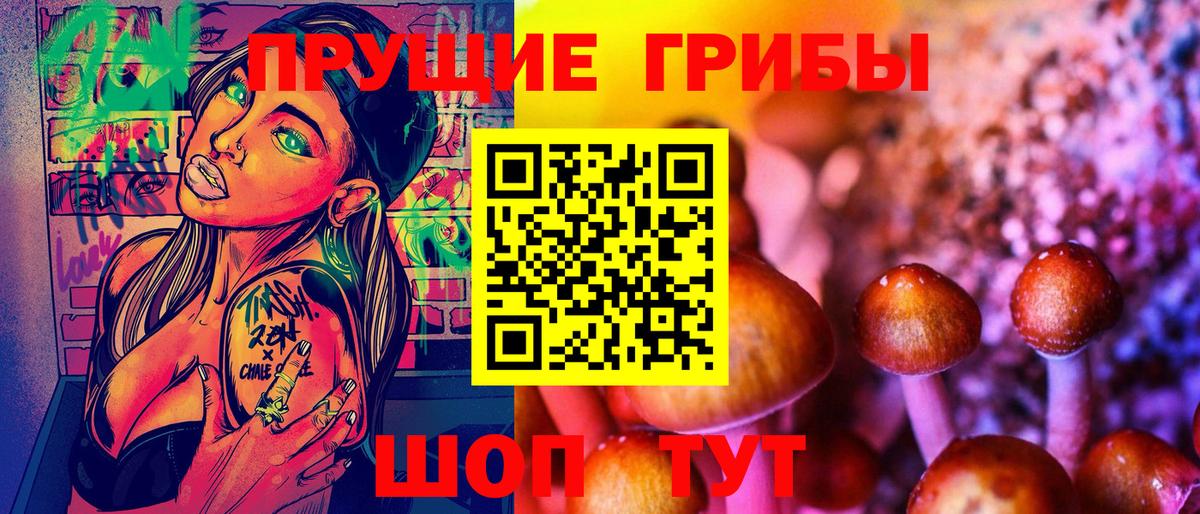 Псилоцибиновые грибы GOLDEN TEACHER  Вход с VPN  Кинель 